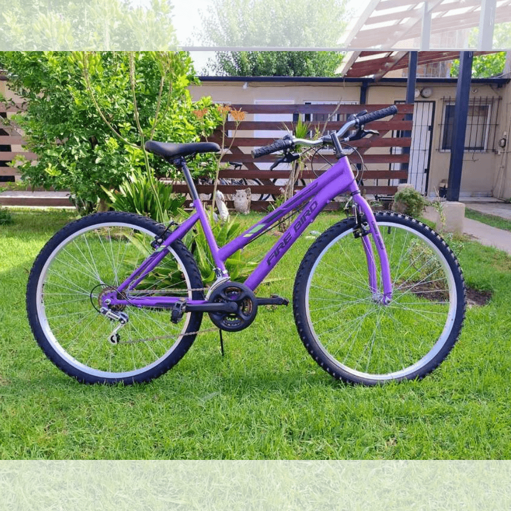 Bicicleta FireBird  R26 MTB - Mujer