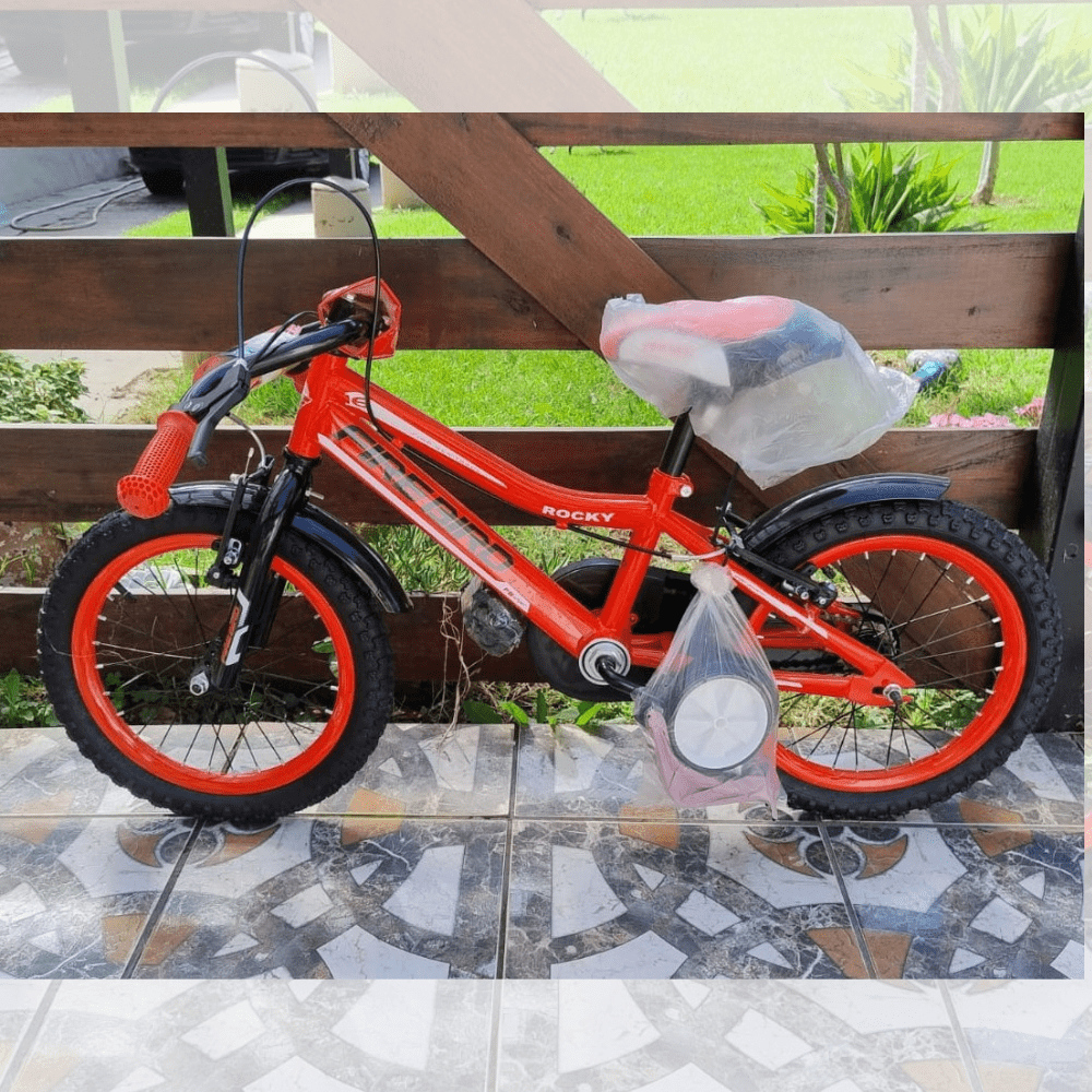 Bicicleta FireBird R16 Rocky - Niño
