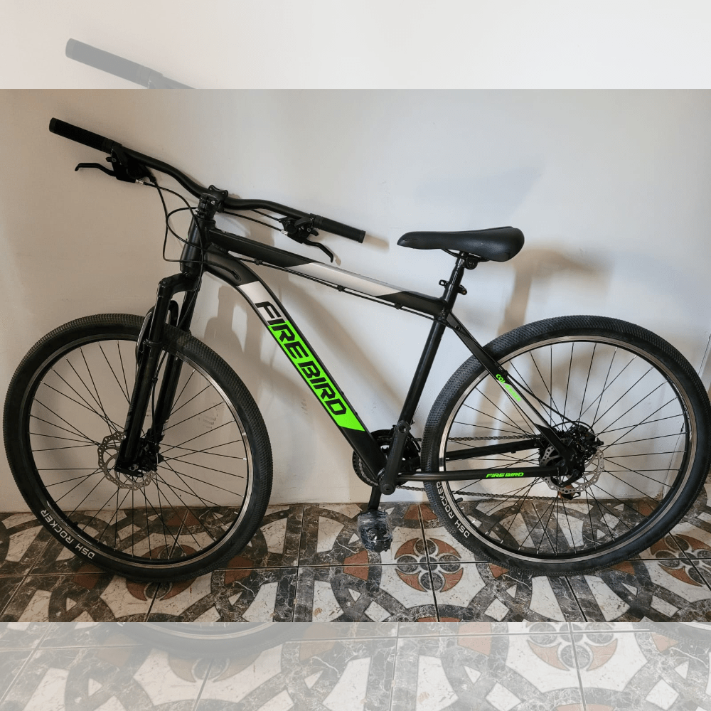 Bicicleta Firebird R29