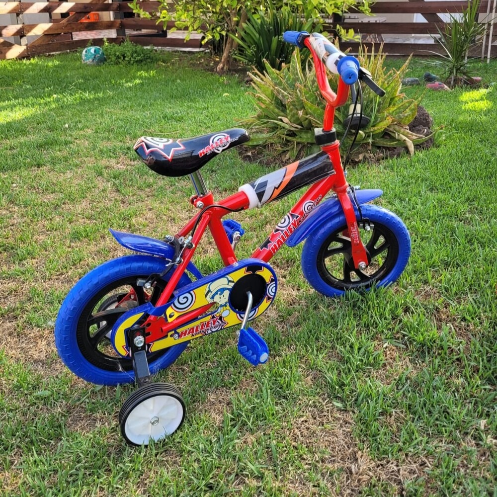 Bicicleta Firebird Halley R12 - Niño