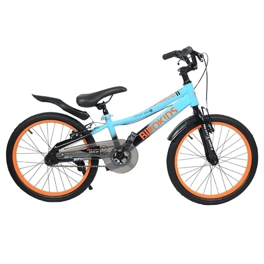 Bicicleta Bipokids R20 - Nene